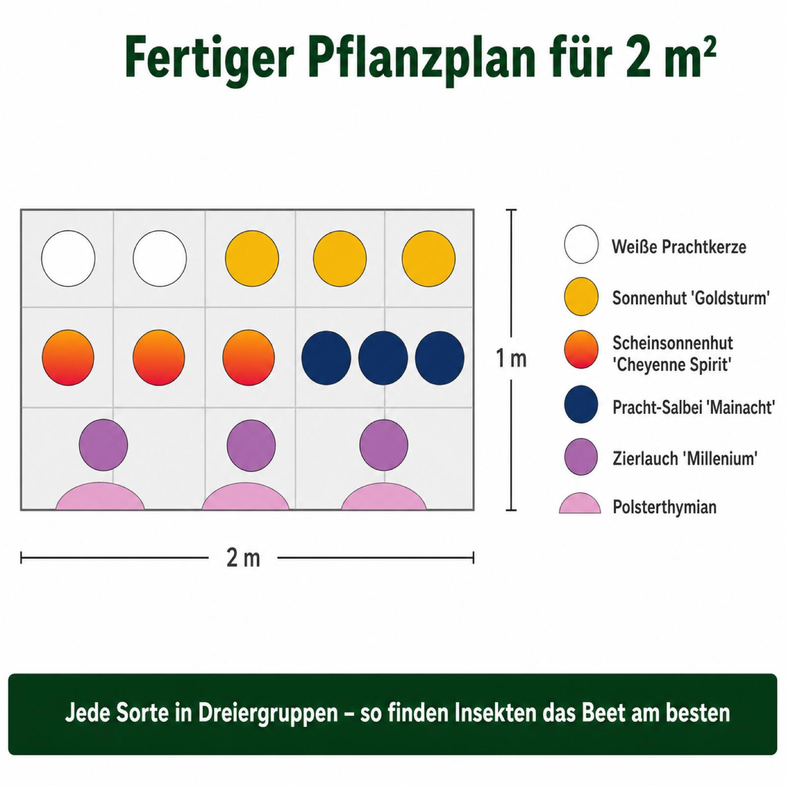 Bienenbeet-Set – 17 Stauden für Sonne & Insekten
