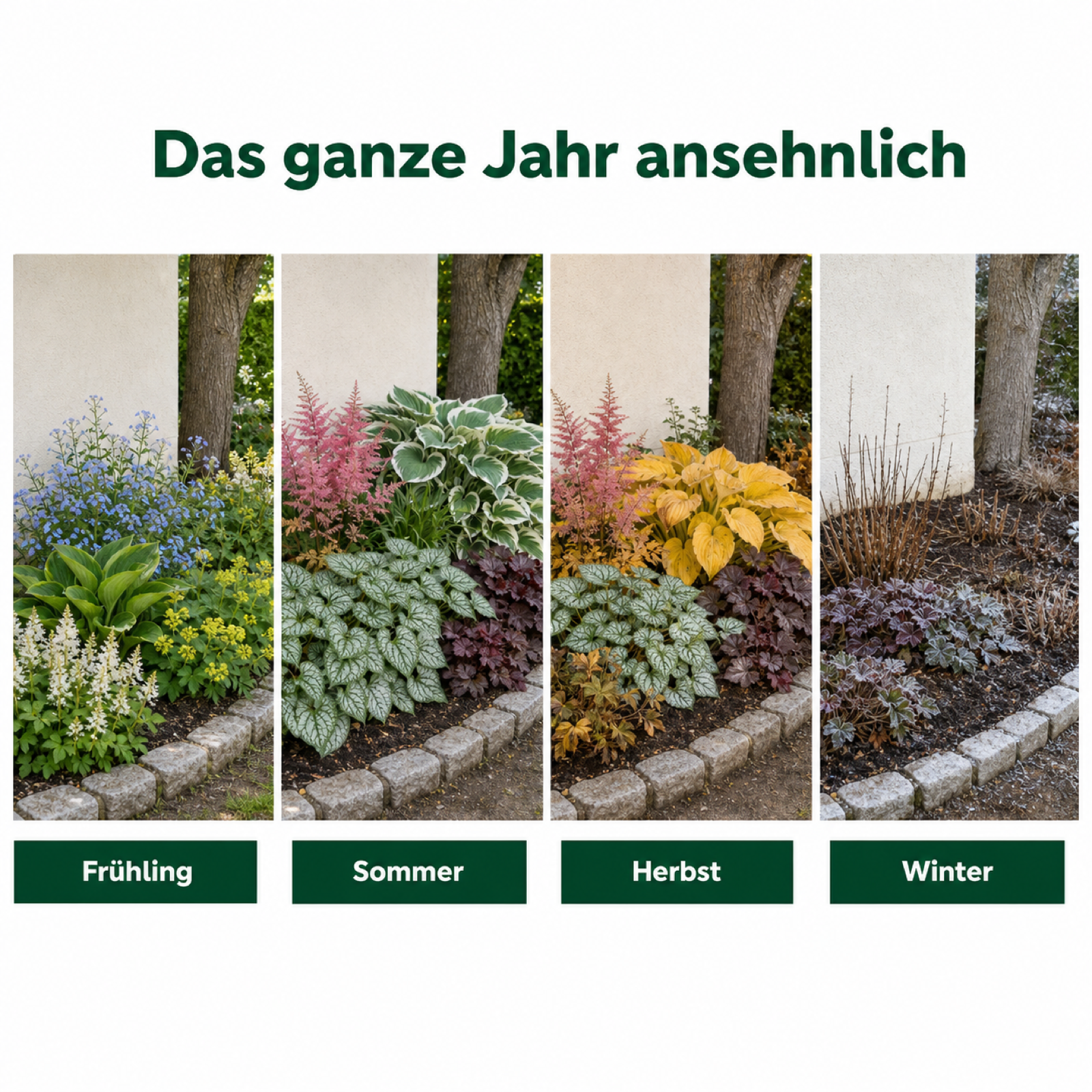 Schattenbeet-Set – 18 Stauden für Nordseite & Schatten