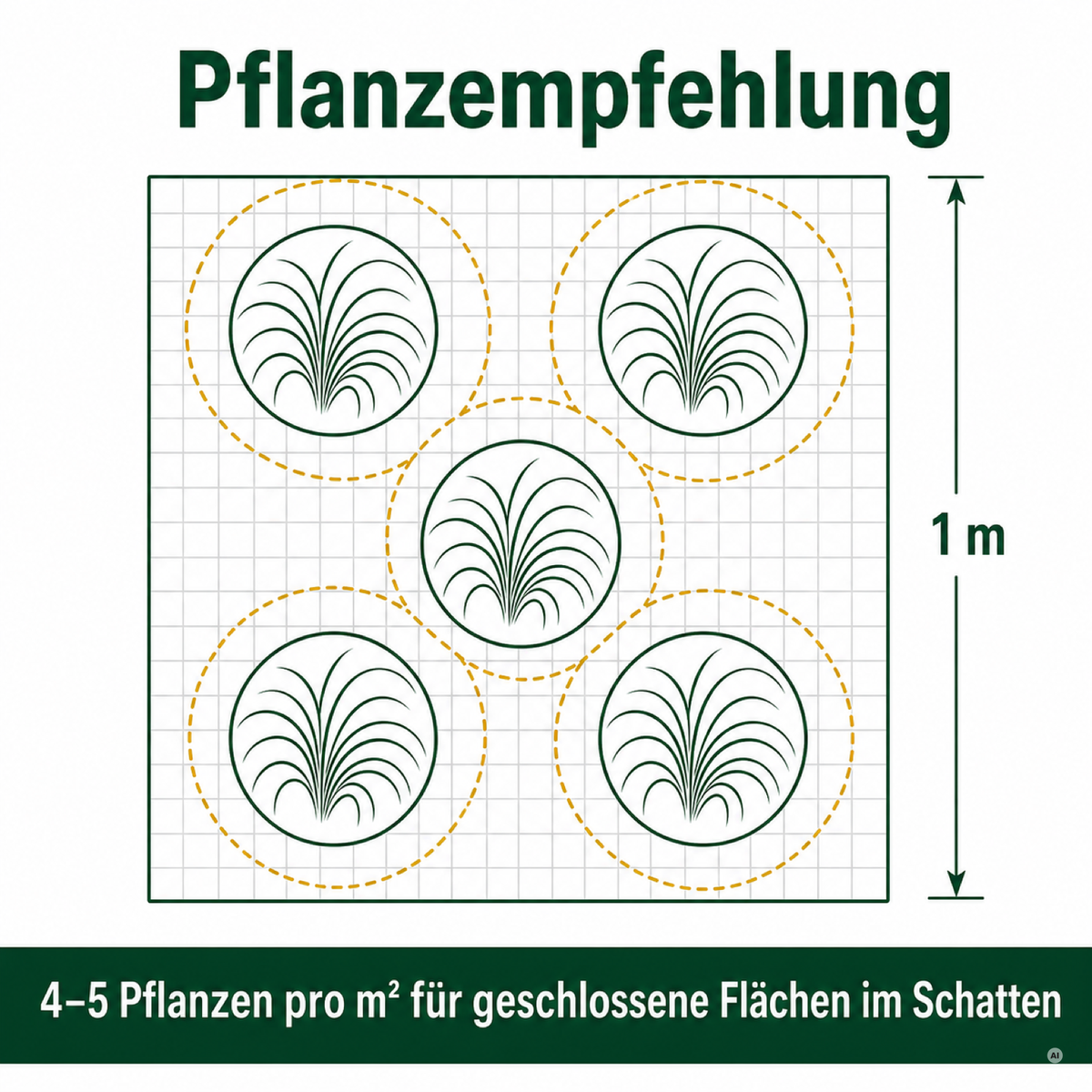 Pflanzempfehlung Japanisches Berggras: 4 bis 5 Pflanzen pro Quadratmeter für geschlossene Flächen im Schatten