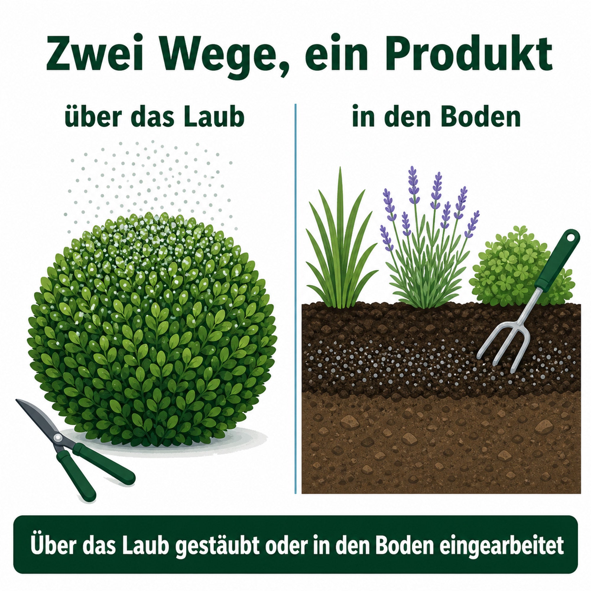 Zwei Wege, ein Produkt: über das Laub gestäubt oder flach in den Boden eingearbeitet