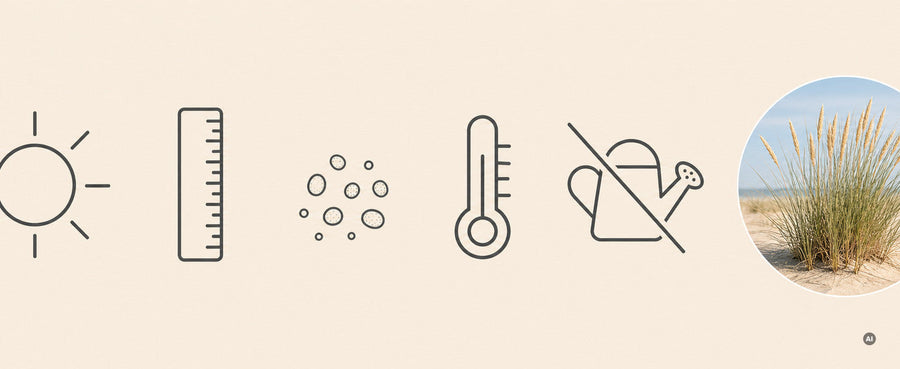 Icon-Leiste zu den Schnellfakten: Sonne, Lineal, Sandkorn, Thermometer, durchgestrichene Gießkanne