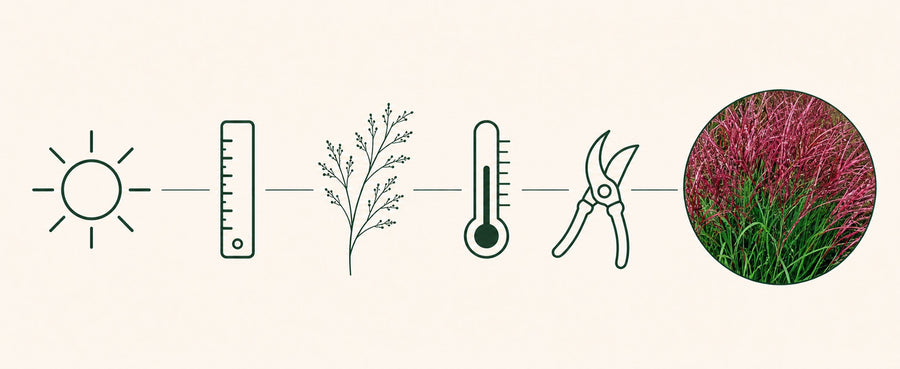 Icon-Schnellfakten-Grafik: Sonne, Lineal, Rispe, Thermometer, Schere