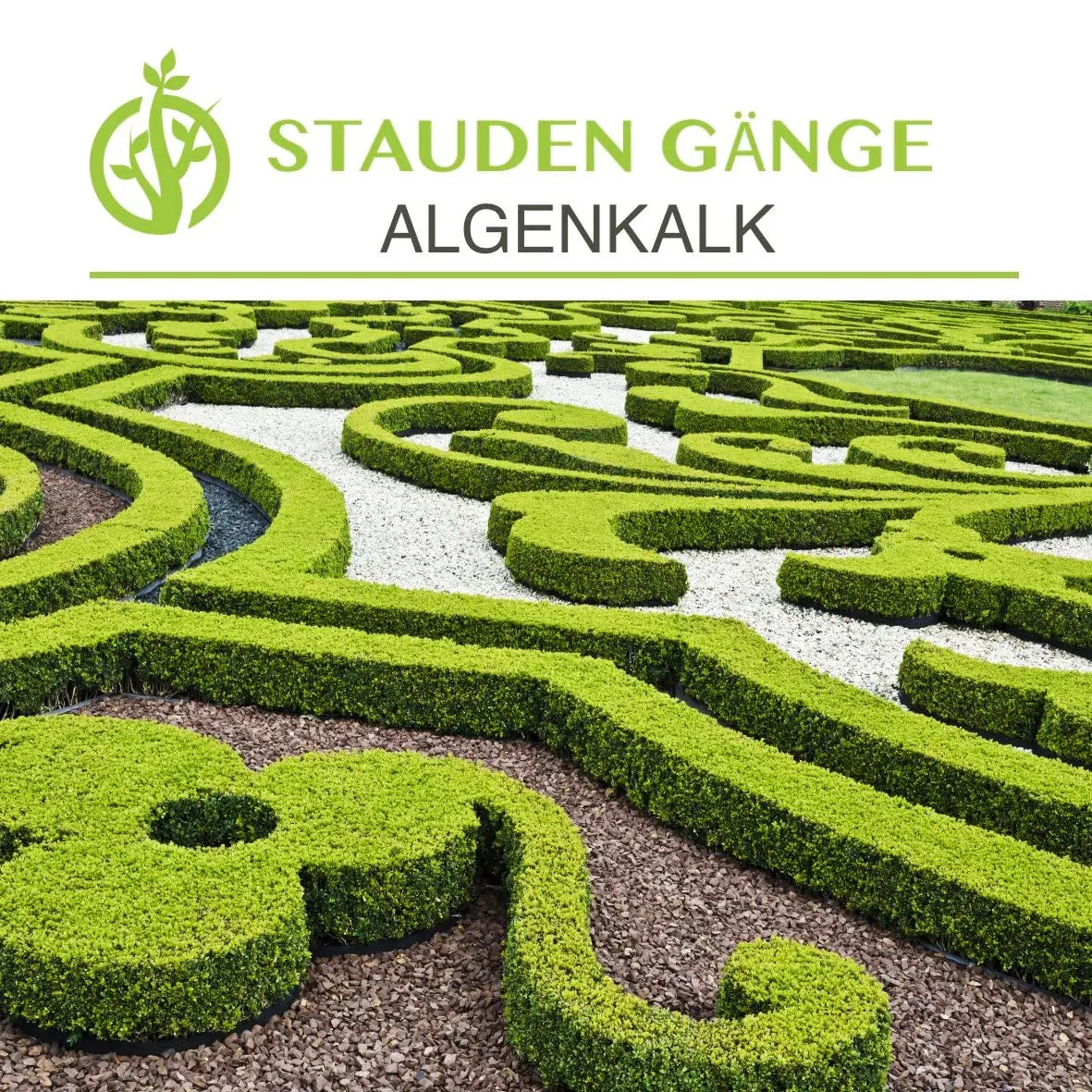Stauden Gänge Algenkalk Pulver 1kg im Eimer, reines Meeresalgenpulver für Garten und Pflanzenpflege