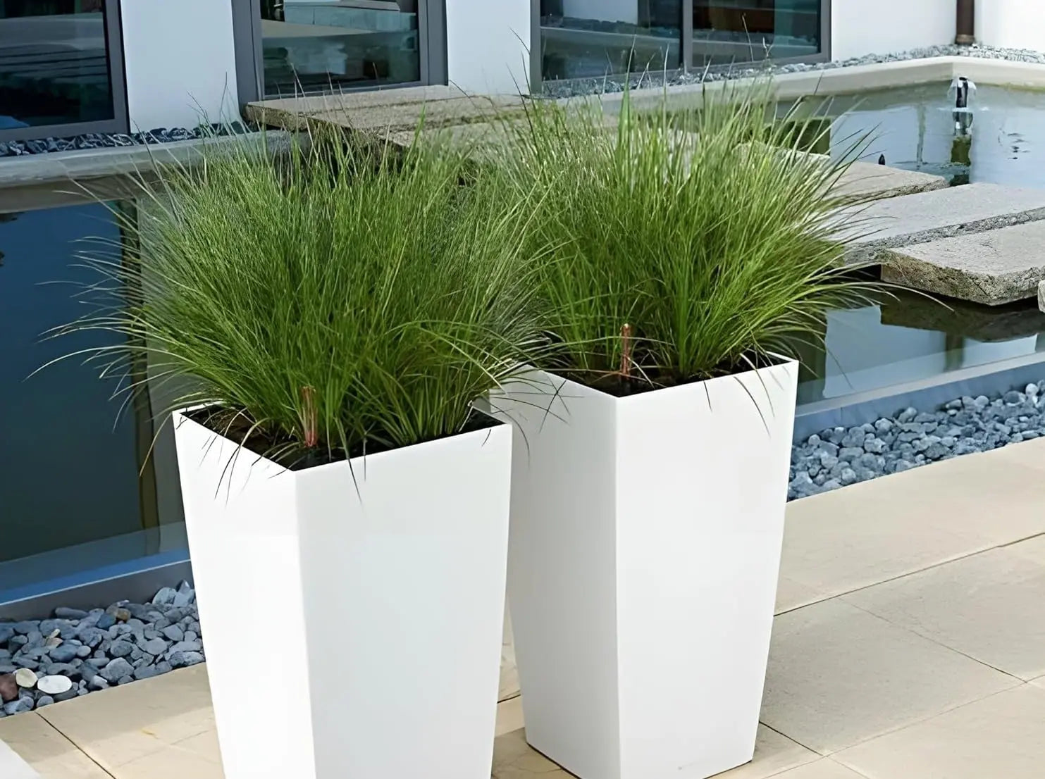 Ziergras Carex howardii 'Phoenix Green' von Stauden Gänge, grüne Segge mit schilfartigem Laub, im Garten.