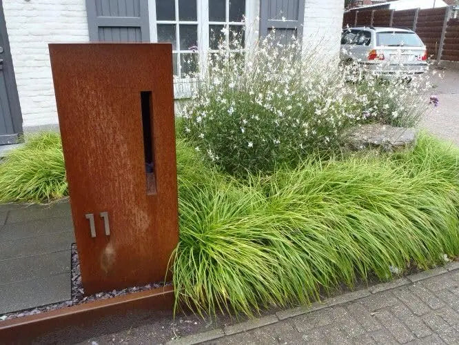 Ziergras Carex oshimensis ‚JS Greenwell‘, Japan Segge, mit grünen Blättern, im Gartenbeet, Stauden Gänge.