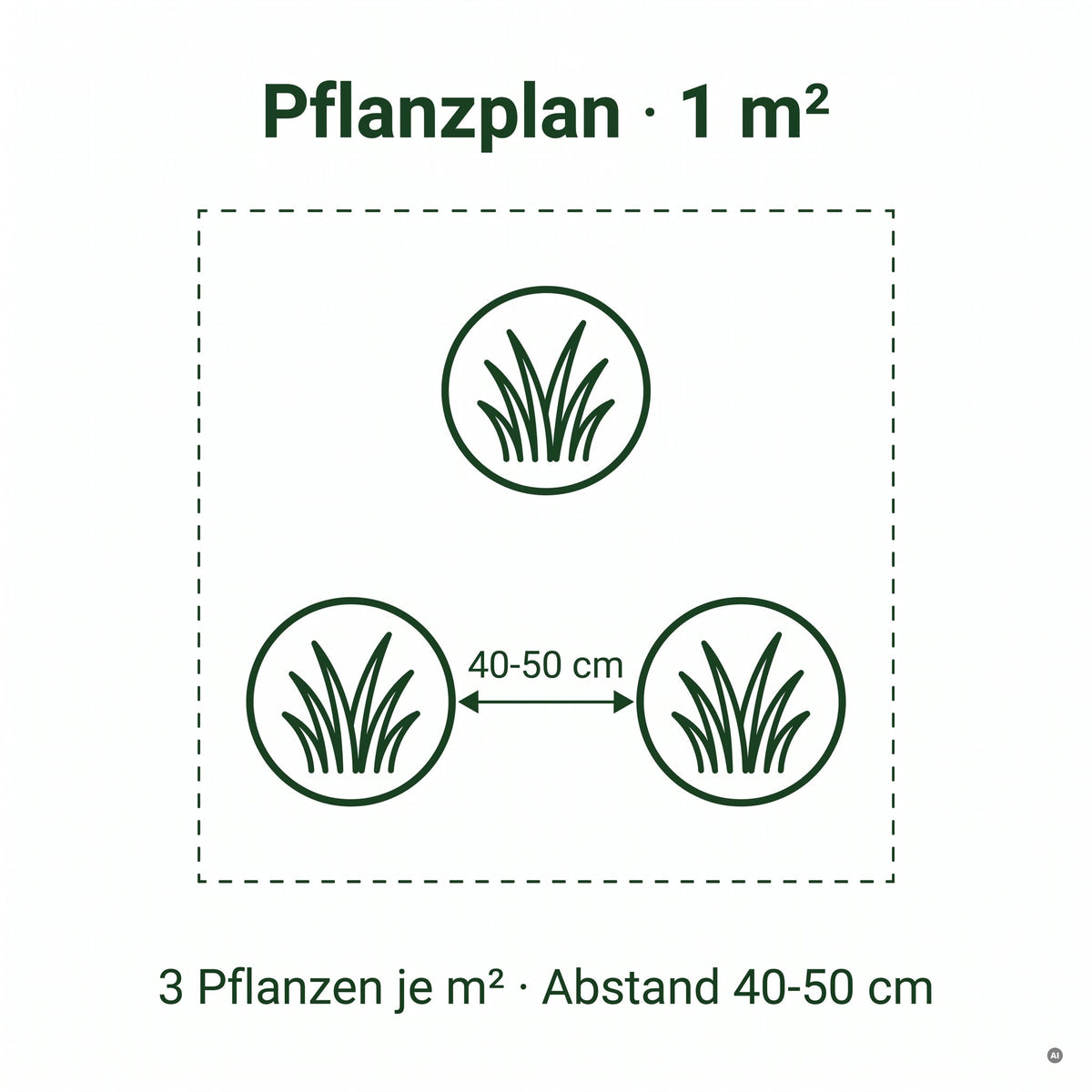 Pflanzplan Zwerg-Pampasgras 'Tiny Pampa': drei Pflanzen je Quadratmeter, Abstand 40 bis 50 cm, Stauden Gänge.