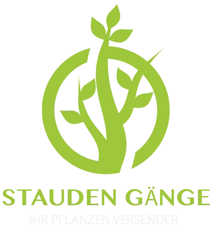 Startseite Stauden Gaenge