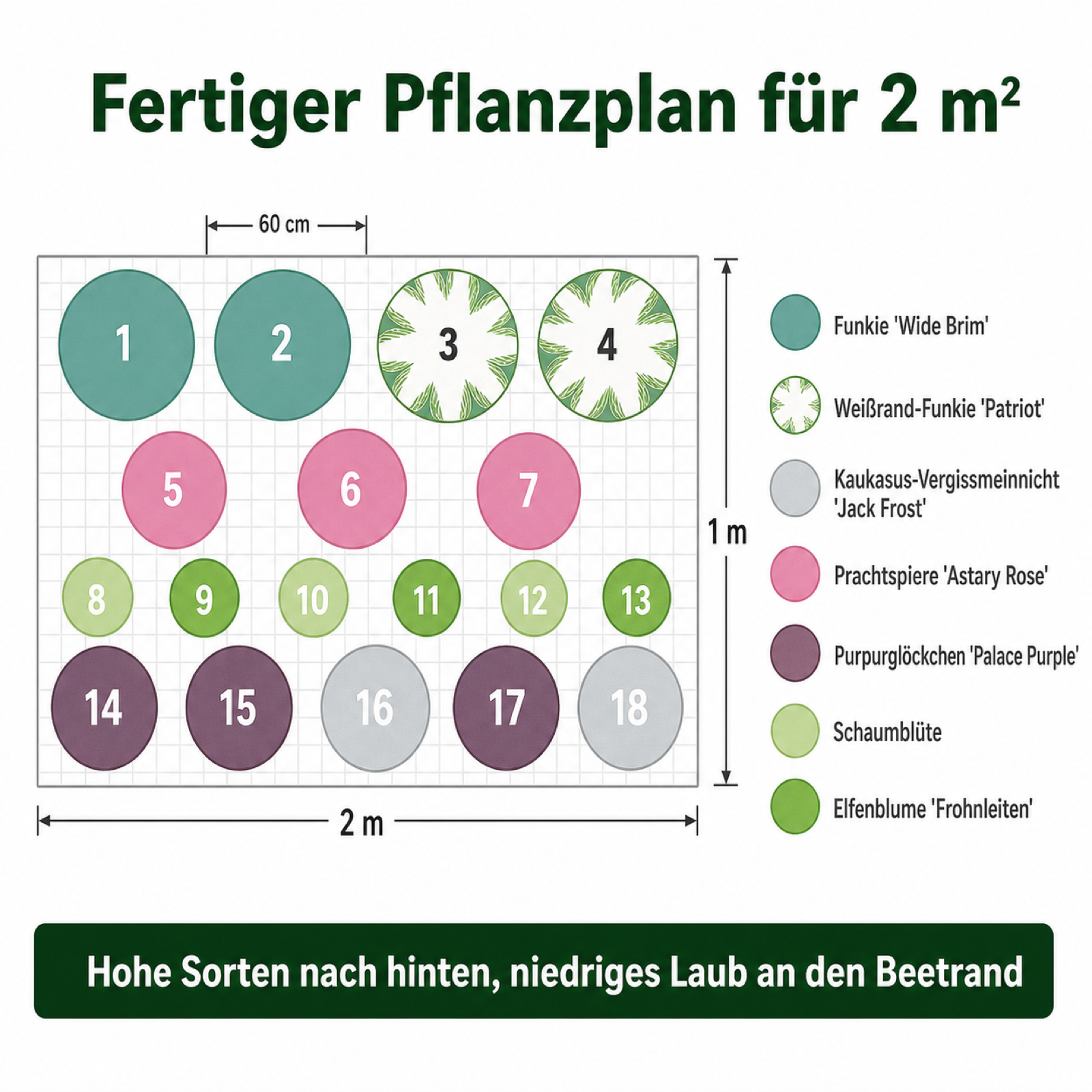 Schattenbeet-Set – 18 Stauden für Nordseite & Schatten