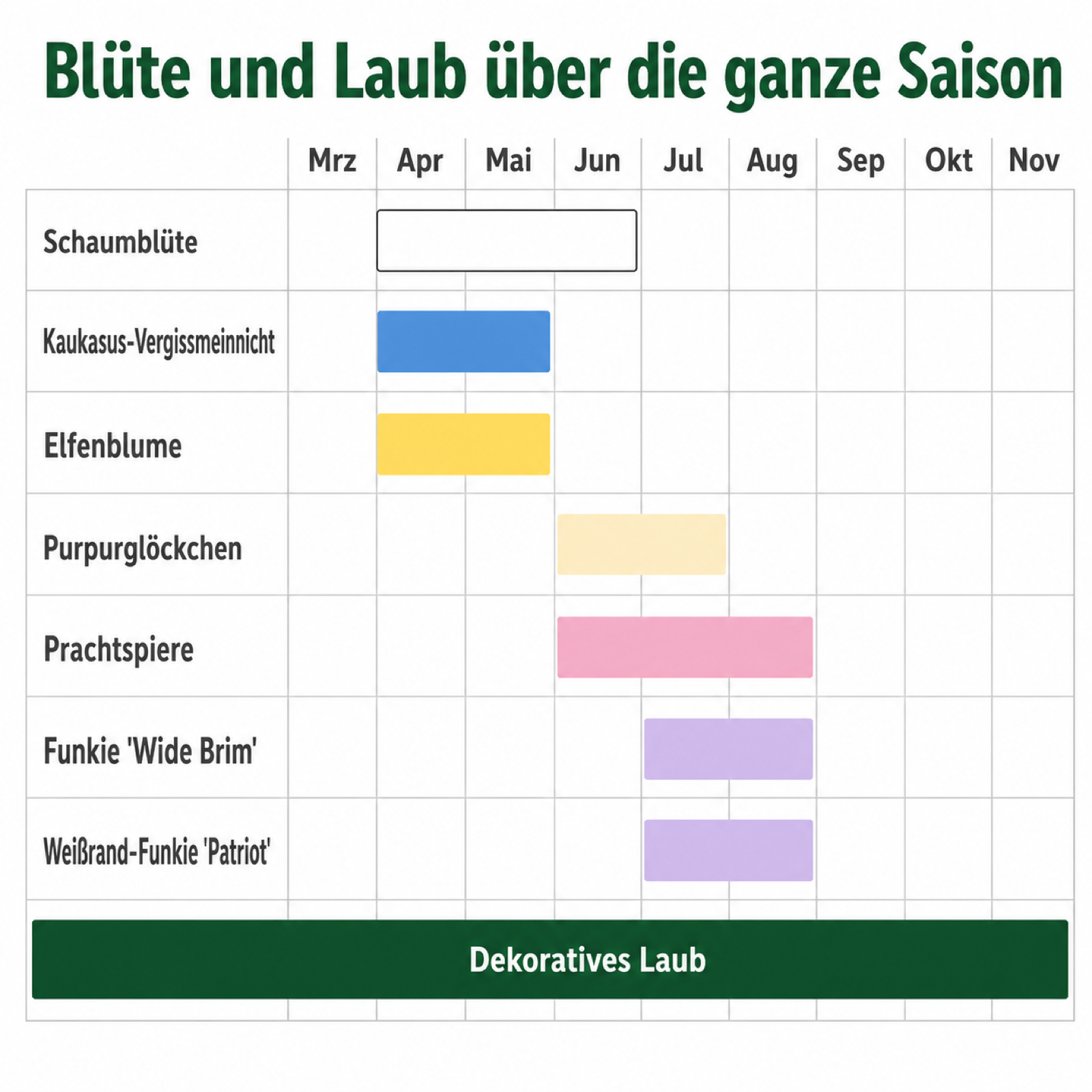 Schattenbeet-Set – 18 Stauden für Nordseite & Schatten