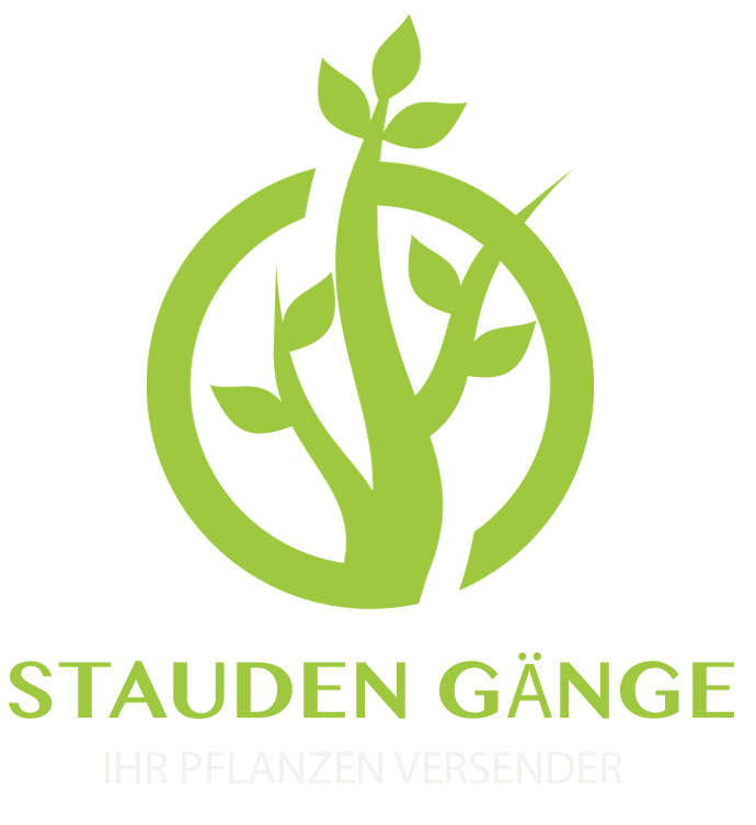 Stauden Gänge
