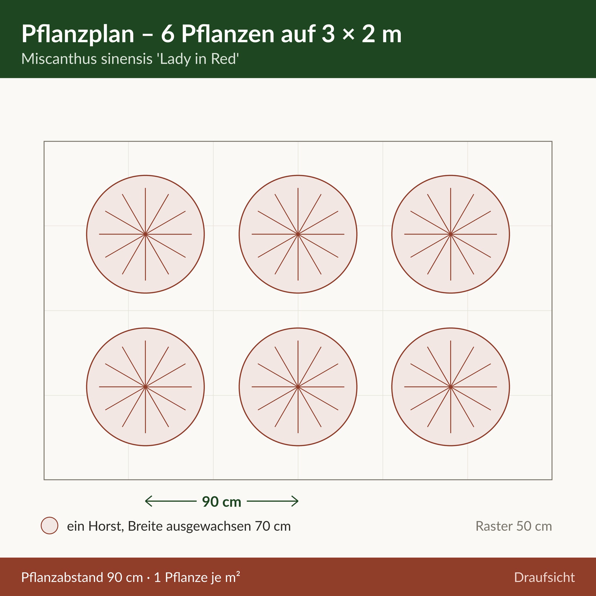 Pflanzplan Miscanthus sinensis 'Lady in Red': Beetfläche von 3 × 2 Metern mit sechs Pflanzen im Abstand von 90 cm, eine Pflanze je Quadratmeter