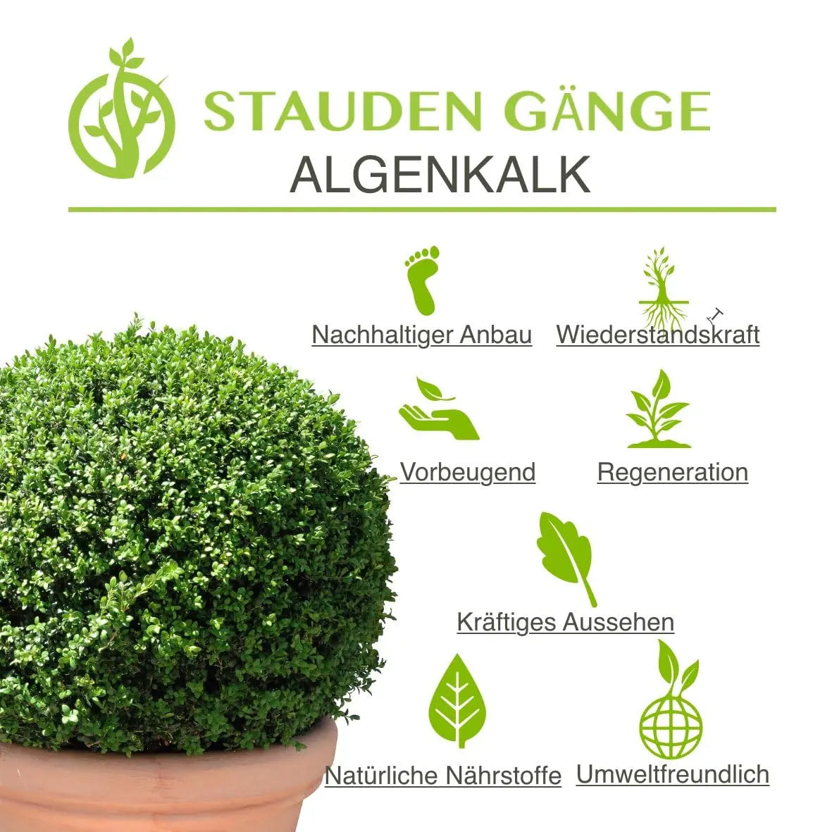 Stauden Gänge Algenkalk Pulver 2,5kg im Eimer, 100 % reines Meeresalgenpulver für Pflanzenpflege