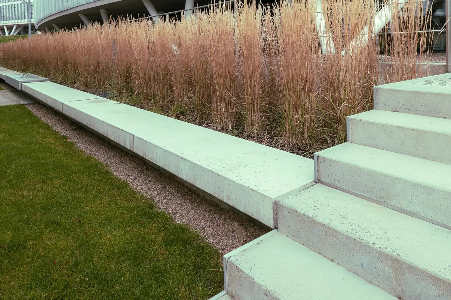 Ziergras Calamagrostis acutiflora ‚Waldenbusch‘ von Stauden Gänge, mit langen, schmalen Blättern und aufrechten Ähren.