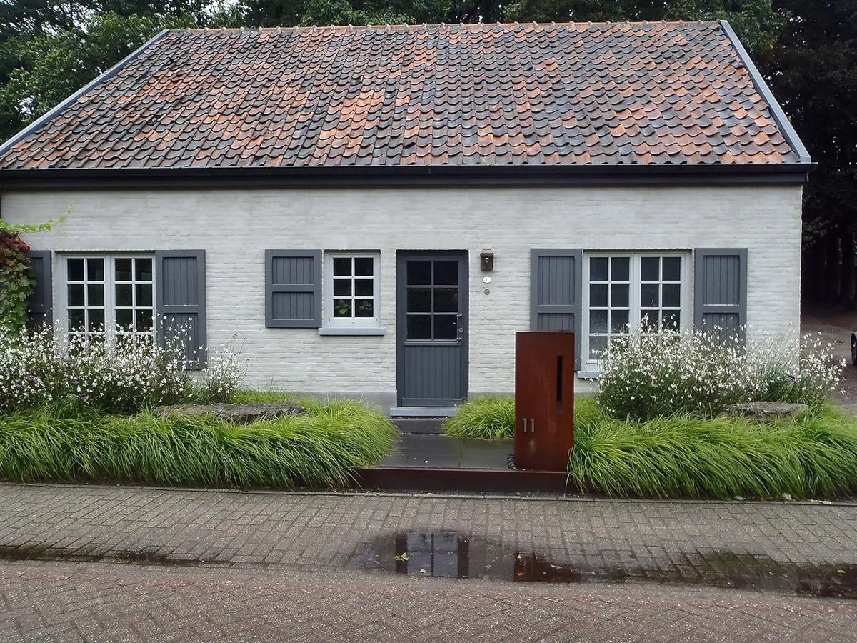 Ziergras Carex oshimensis ‚JS Greenwell‘, japanisches Segge, grüne Blätter, Stauden Gänge, dekoratives Gartenpflanzenbild
